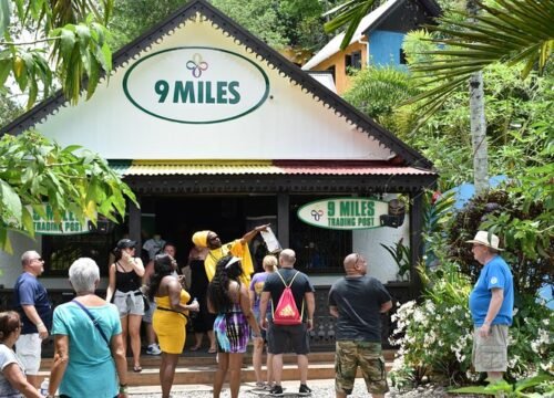 Nine Mile + Dunn’s River Falls